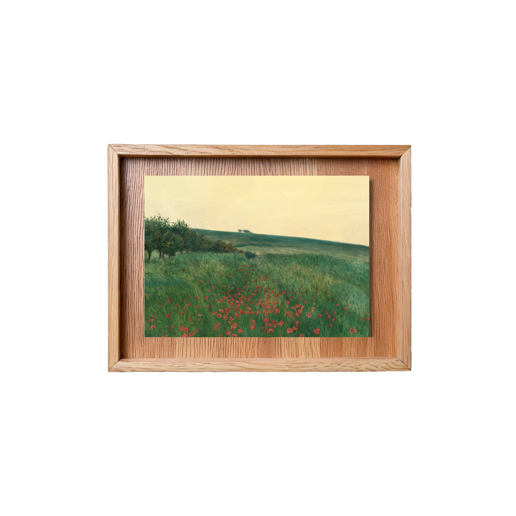 Golden Hour Meadow Canvas Print Painting