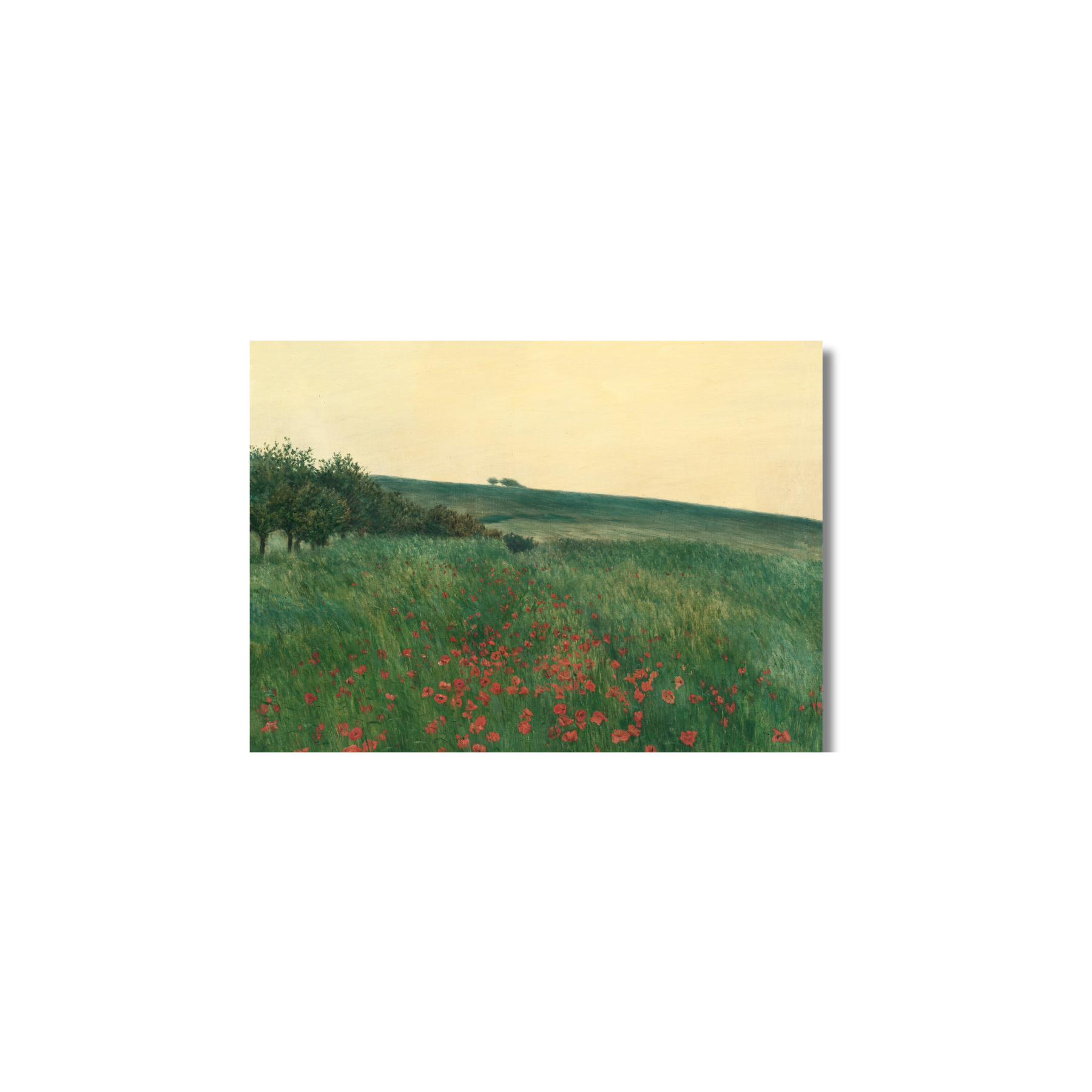 Golden Hour Meadow Canvas Print Painting